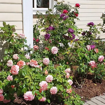Holiday home The Cat House Jurmala